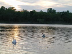 Feyodi Creek RV Park