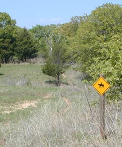 Walnut Creek State Park