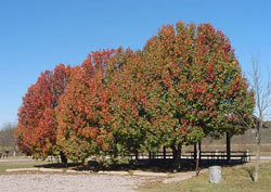 New Mannford Ramp Recreation Area