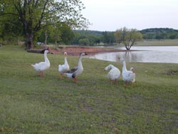 Feyodi Creek RV Park