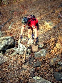 Mountain Biking