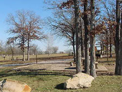 New Mannford Ramp Recreation Area