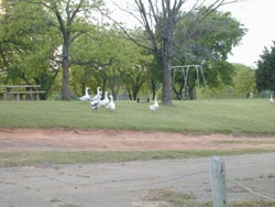 Feyodi Creek RV Park
